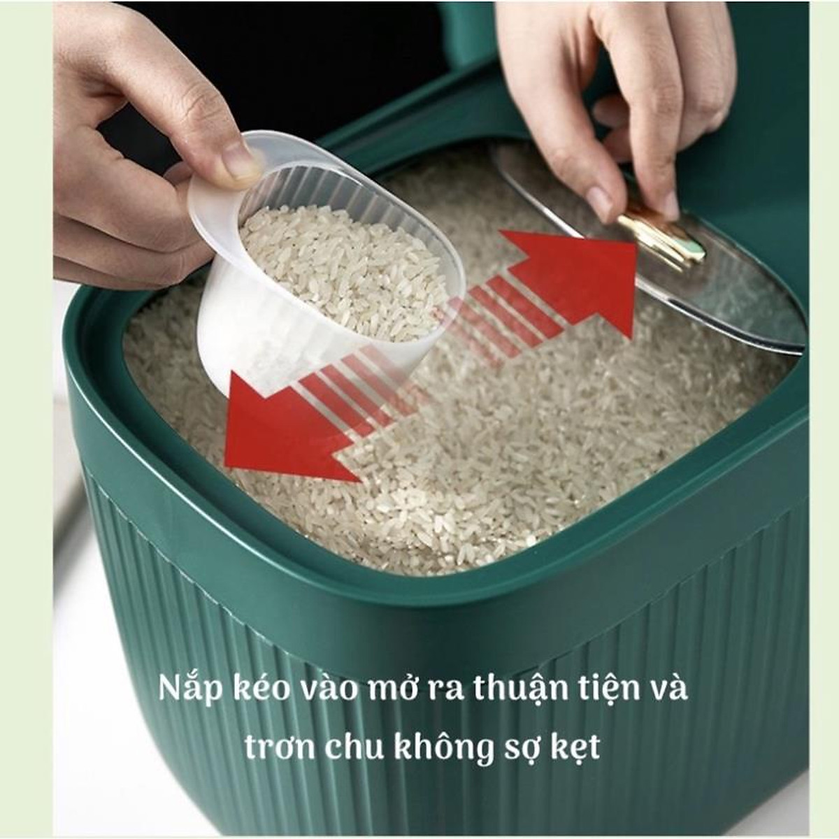 Thùng Đựng Gạo Doron 10kg,Chống Ẩm-Chống Mối Mọt