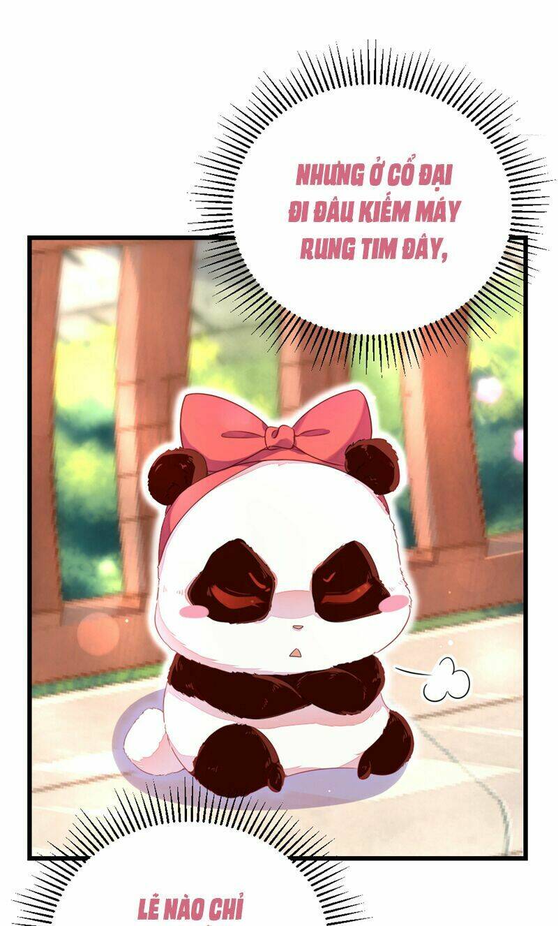 thiên thần gấu trúc muốn được ôm chapter 23 6