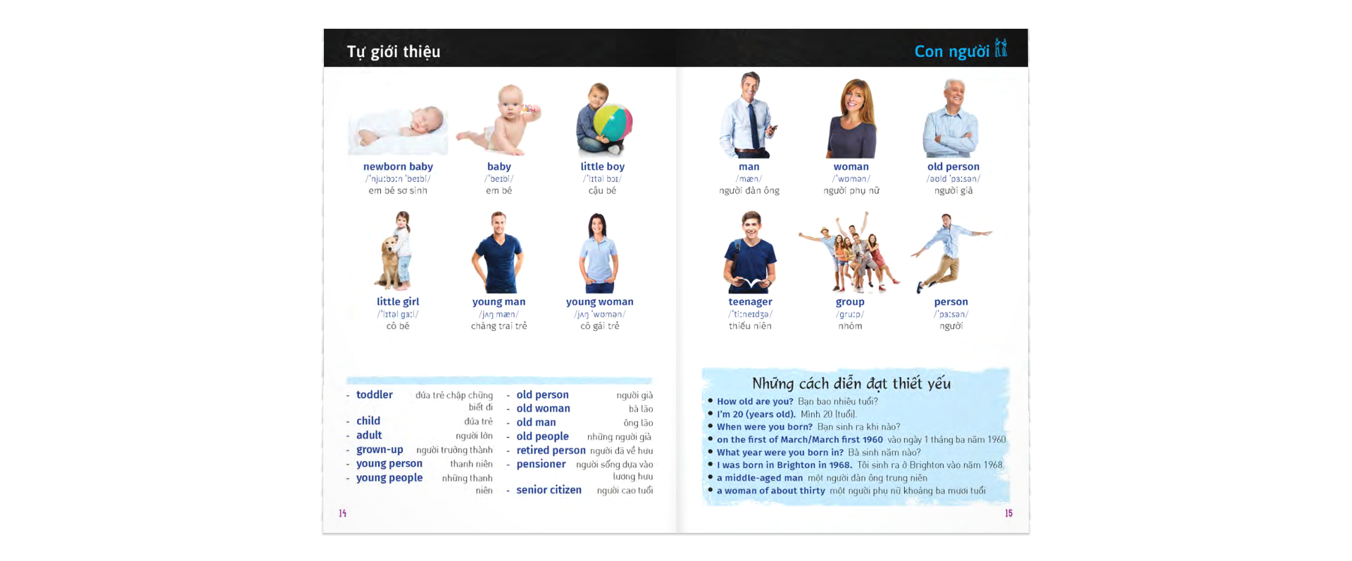 Từ Điển Trực Quan Bỏ Túi Anh-Việt - ảnh 3