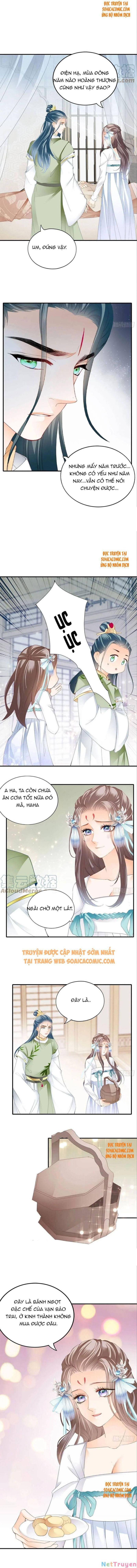 bổn vương muốn nàng chapter 99 4