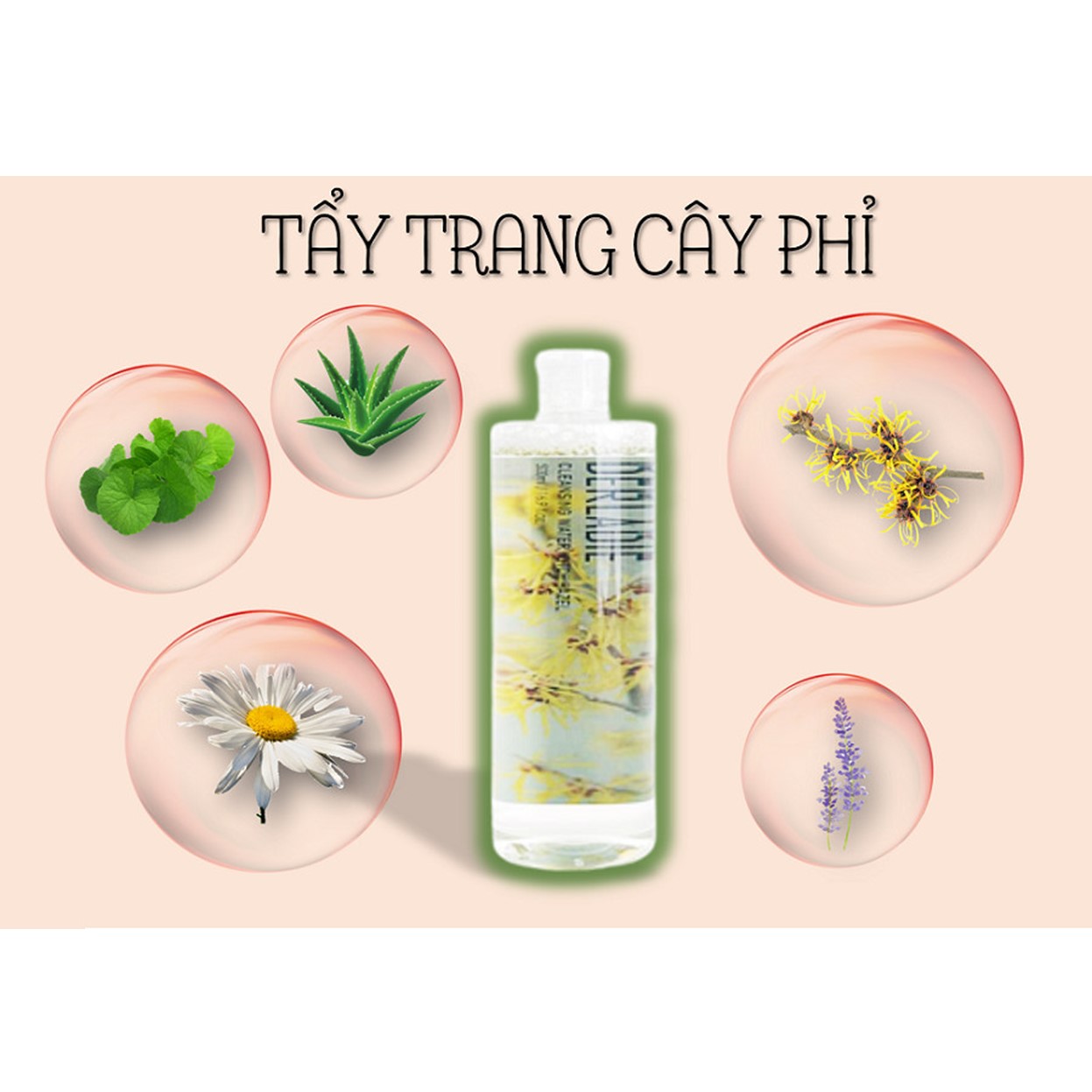 Nước Tẩy Trang Làm Sạch Da, Kháng Khuẩn, Dịu Nhẹ Derladie Cleansing Water Witch Hazel 500ml + Tặng Túi Bông Tẩy Trang Ipek 80 Miếng