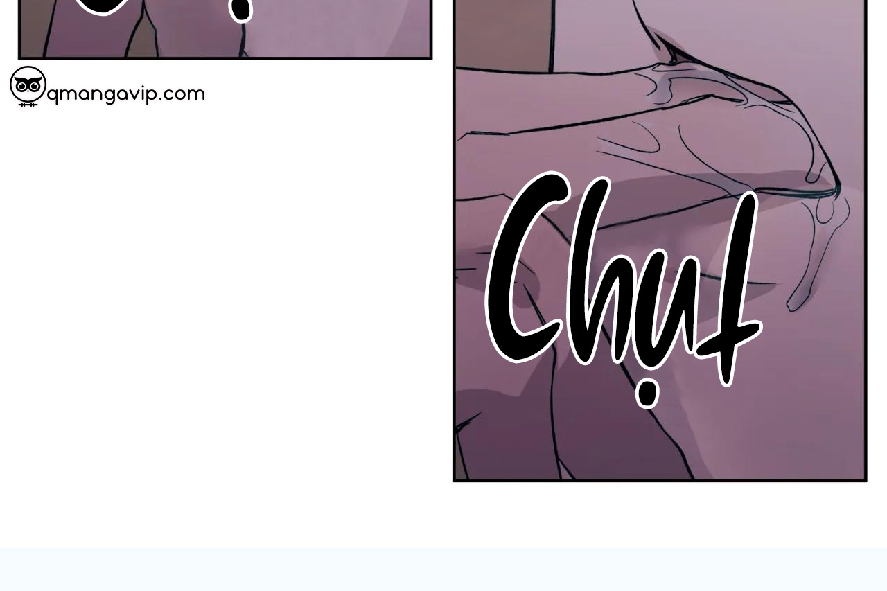 ám ảnh pheromone chapter 60 64