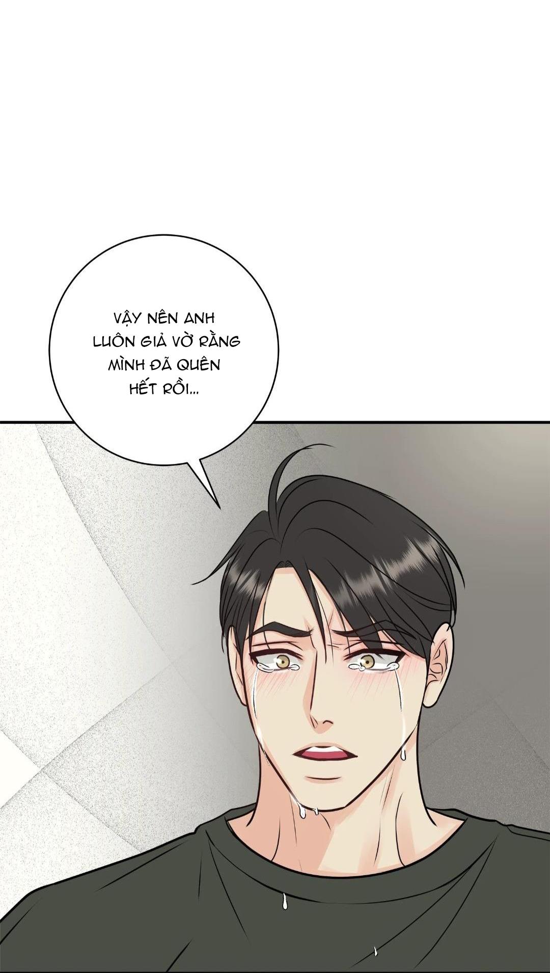 hạnh phúc trọn vẹn chapter 25 50