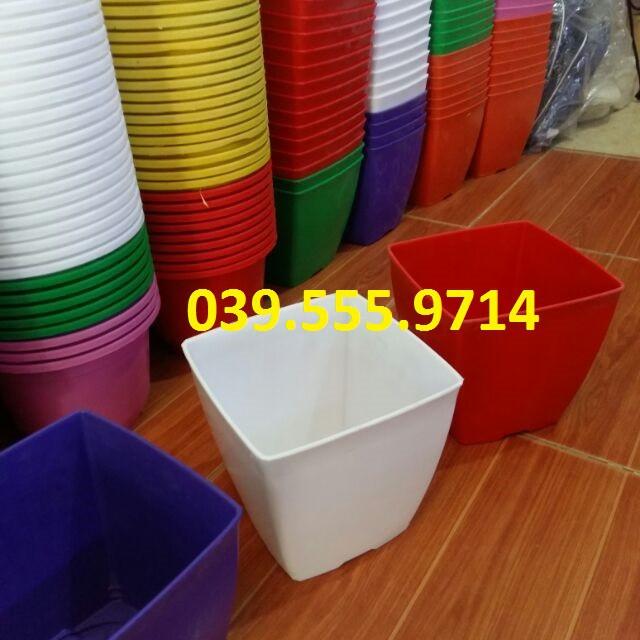 Bộ 5 Chậu Nhựa Nhiều Màu Trồng Cây V20