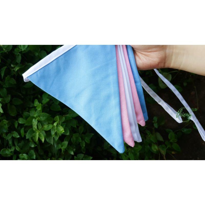 Dây cờ tam giác nhiều màu cầu vồng, trang trí decor, dây cờ Transgender chuyển giới LGBTQ+ Flag