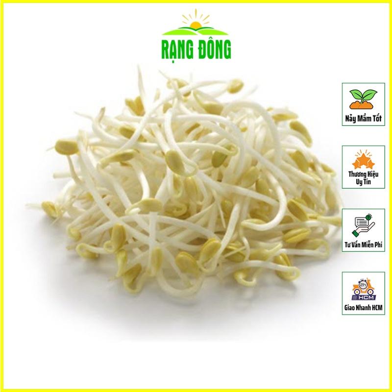 Hạt giống Rau Mầm Giá Đậu Xanh Dễ Trồng, Thu Hoạch Nhanh - Hạt Giống Rạng Đông