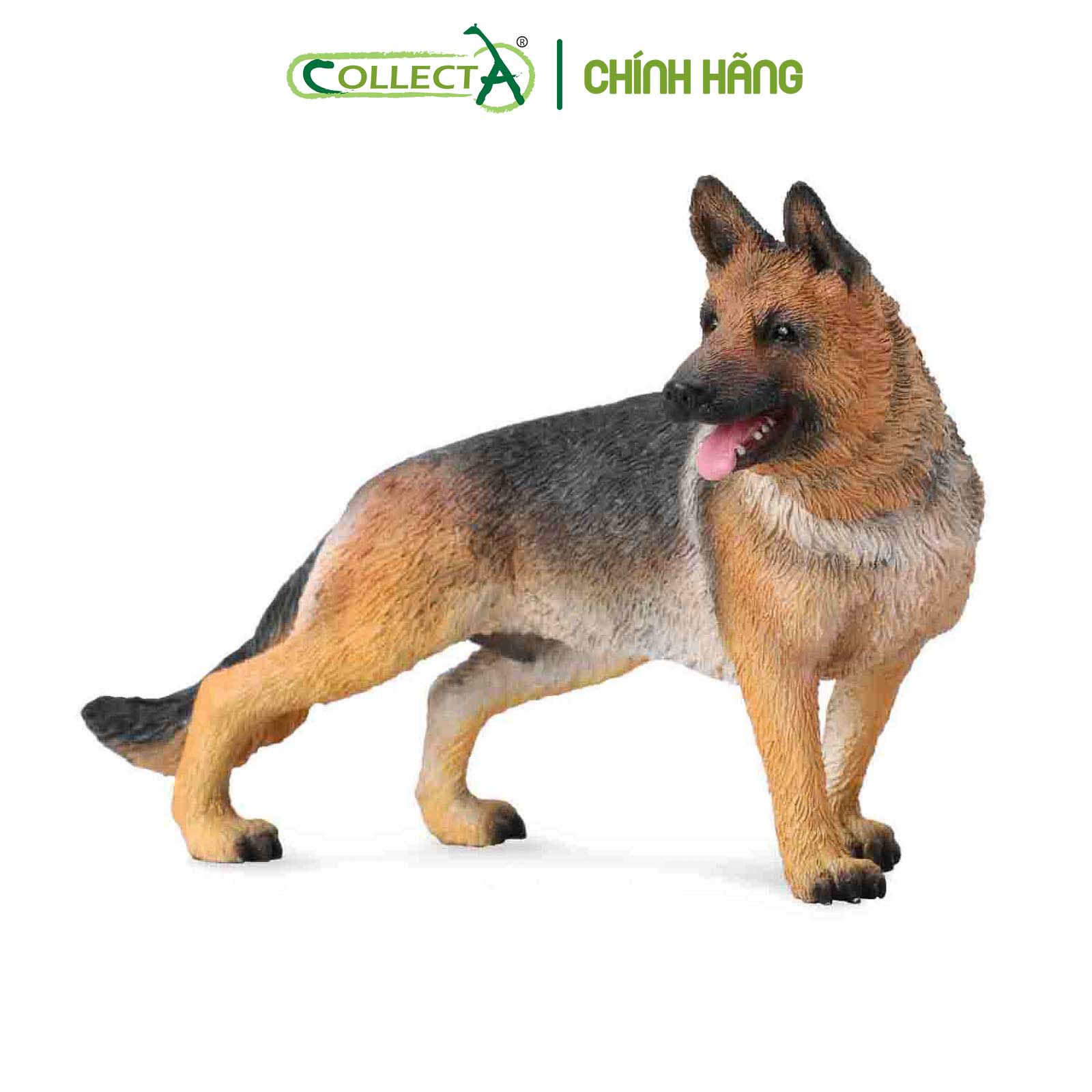 Mô hình thu nhỏ: Chó Shepherd - German Shepherd, hiệu: CollectA, mã HS 9650010[88552] -  Chất liệu an toàn cho trẻ - Hàng chính hãng