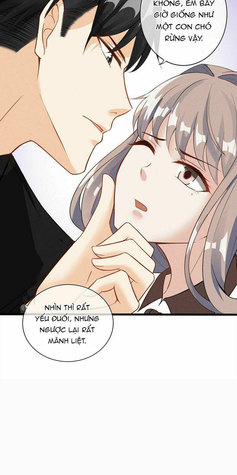 cạm bẫy lửa tình chapter 4 11