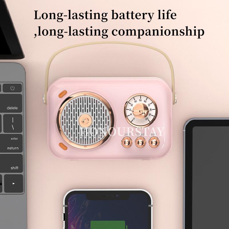 Loa bluetooth karaoke ngoài trời mini với loa siêu loãng micrô không dây Color: Dual Microphone
