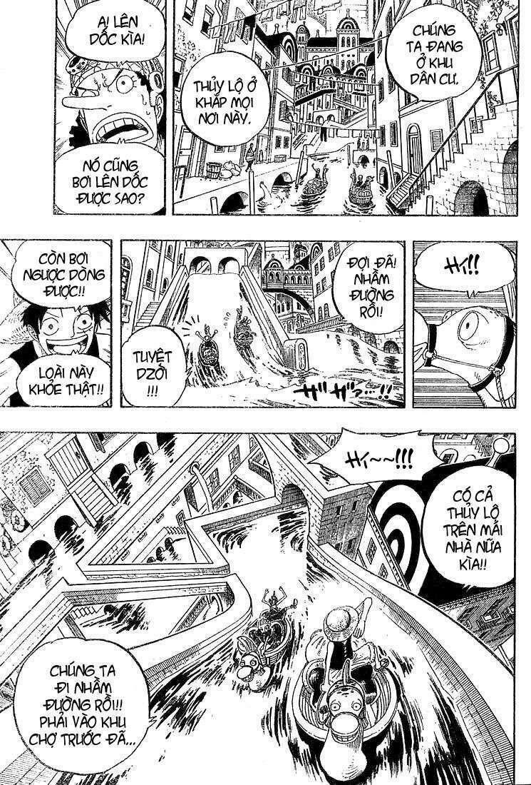 đảo hải tặc - one piece chapter 324 9