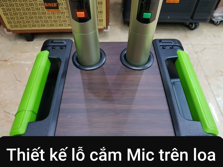 Loa kéo Karaoke Bluetooth SOK NE-318: Phiên bản 2022, Bass 16, Có 2 Micro không dây đi kèm