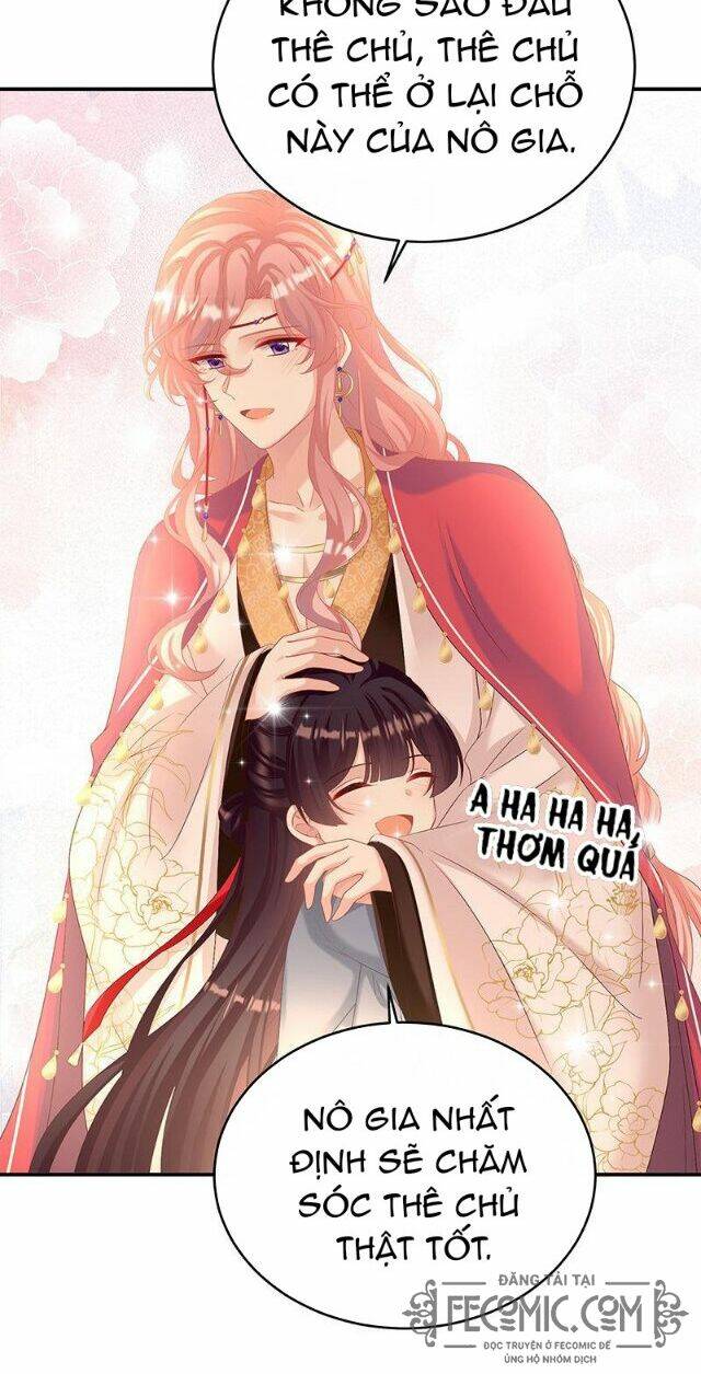 kiều phu có hỉ chapter 68 30