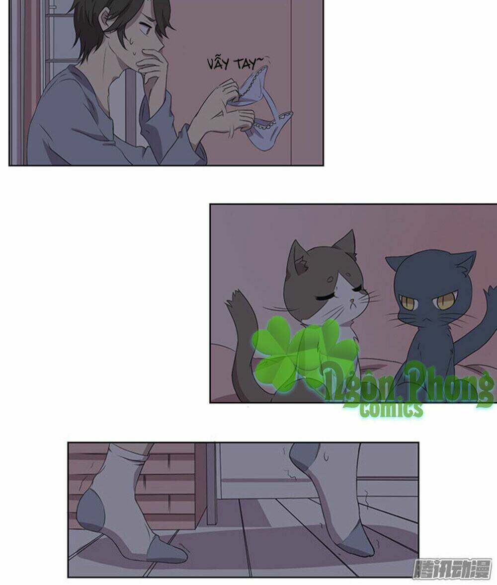 hai chú mèo totem chapter 33 17