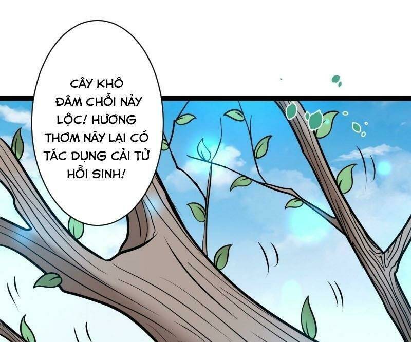 trọng sinh tối cường ma tôn ở rể chapter 70 65