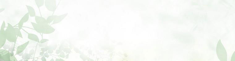 cổ tích về người mẹ kế chapter 90 275