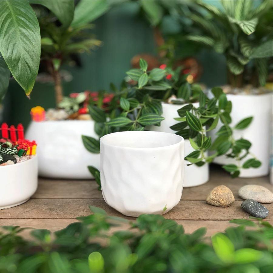 Chậu Sứ Trồng Cây Cảnh Để Bàn, Sen Đá, Xương Rồng, tiểu cảnh terrarium - Kiểu mắt na