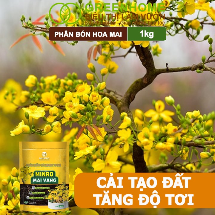 Phân Bón Hoa Mai Greenhome, Minro, Bao 1kg, Hữu Cơ, Dưỡng Cây, Bung Chồi, Mượt Lá, Khoẻ Rễ, Bền Hoa