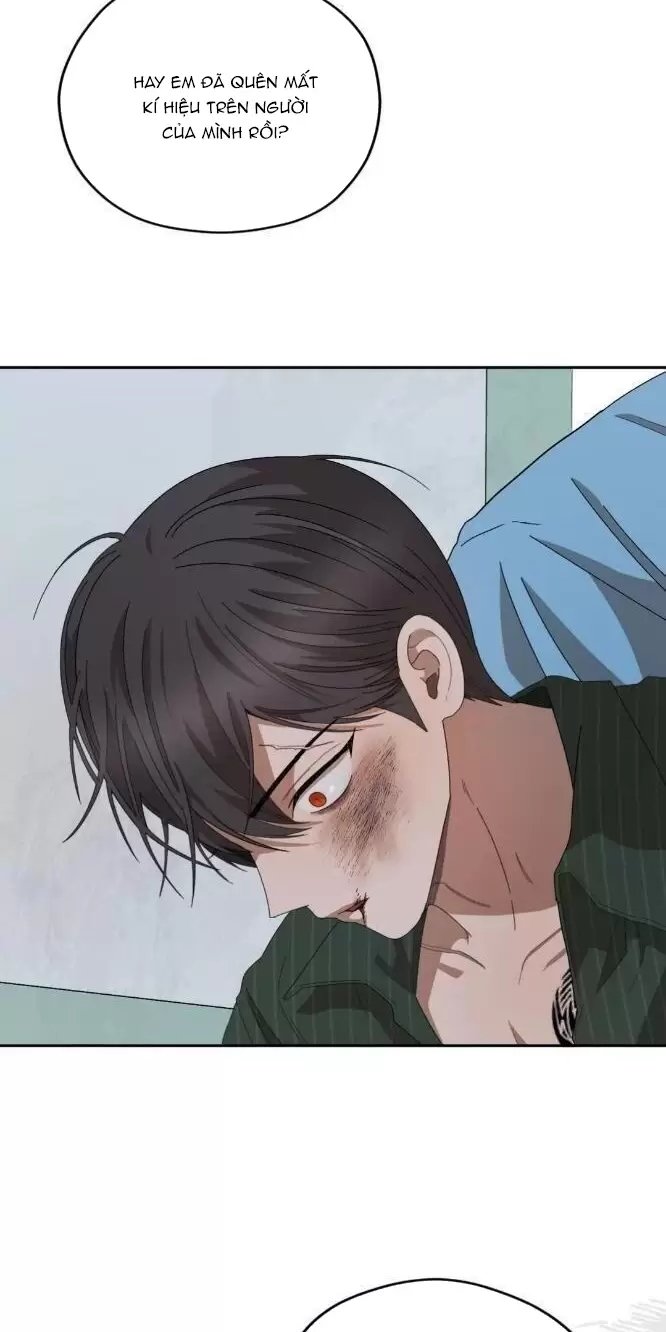 liveta chapter 31 12