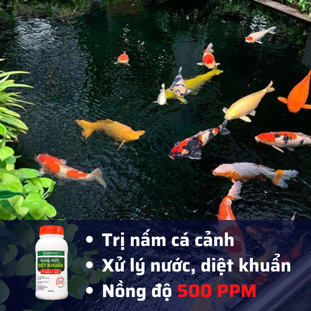 Dung dịch nano bạc diệt khuẩn Unitech | nguyên chất Diệt sạch nấm bệnh, vi khuẩn hoa hồng, phong lan, xử lý nước ao nuôi tôm ốc cá