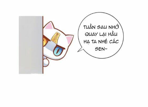 miêu trảo chi hạ chapter 1 50