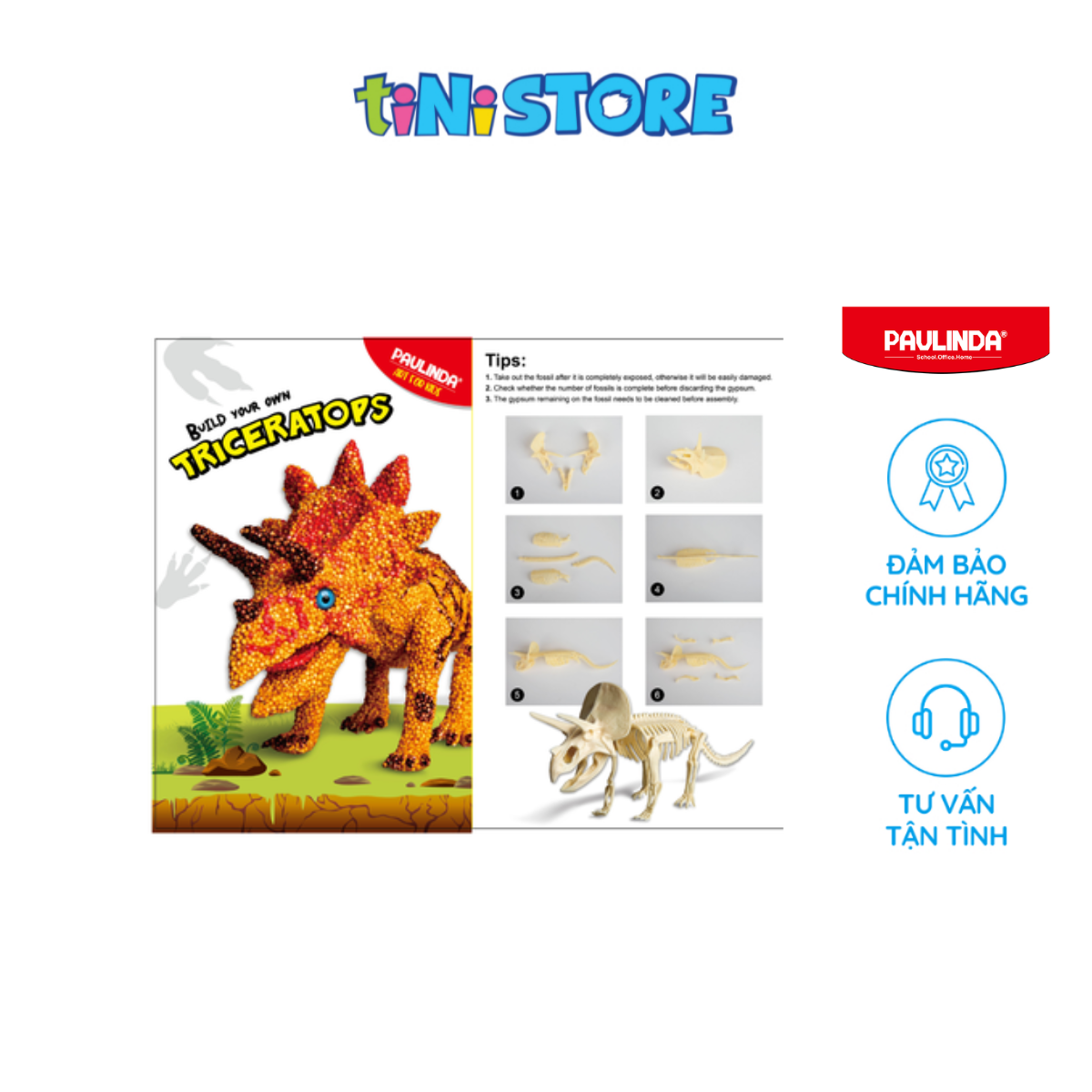 Đồ Chơi Khảo Cổ Khủng Long Triceratops Paulinda 072796-2
