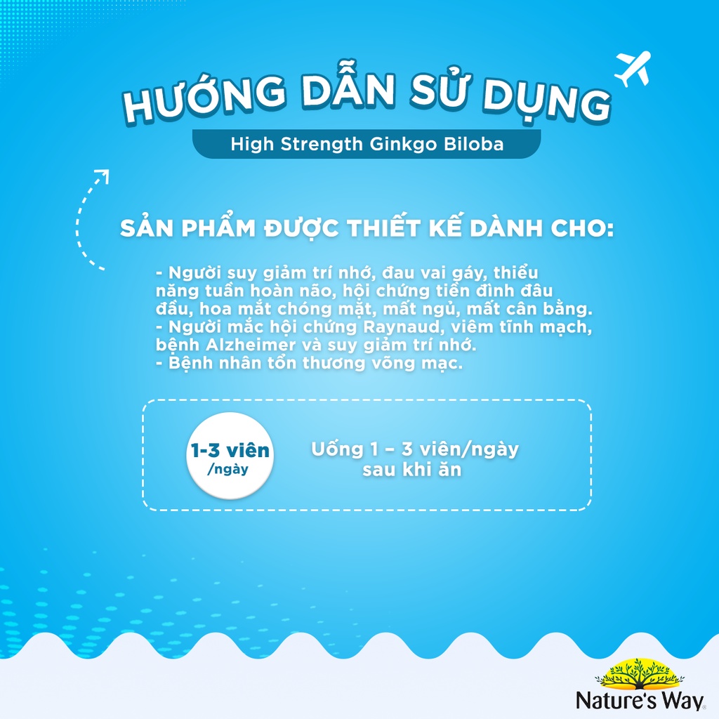 Viên Uống Tuần Hoàn Não NATURE'S WAY High Strength Ginkgo Biloba Tăng Cường Trí Nhớ 2000mg 120V