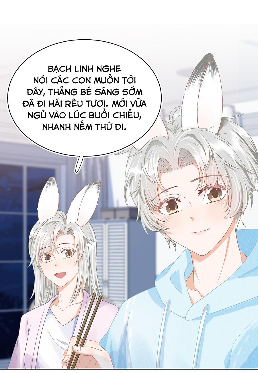 [ss2] một ngụm ăn cả thỏ con chapter 0 47