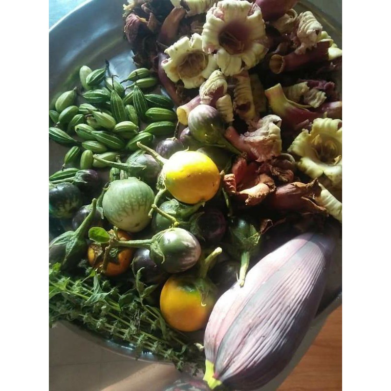 Cà đắng tây nguyên 1kg