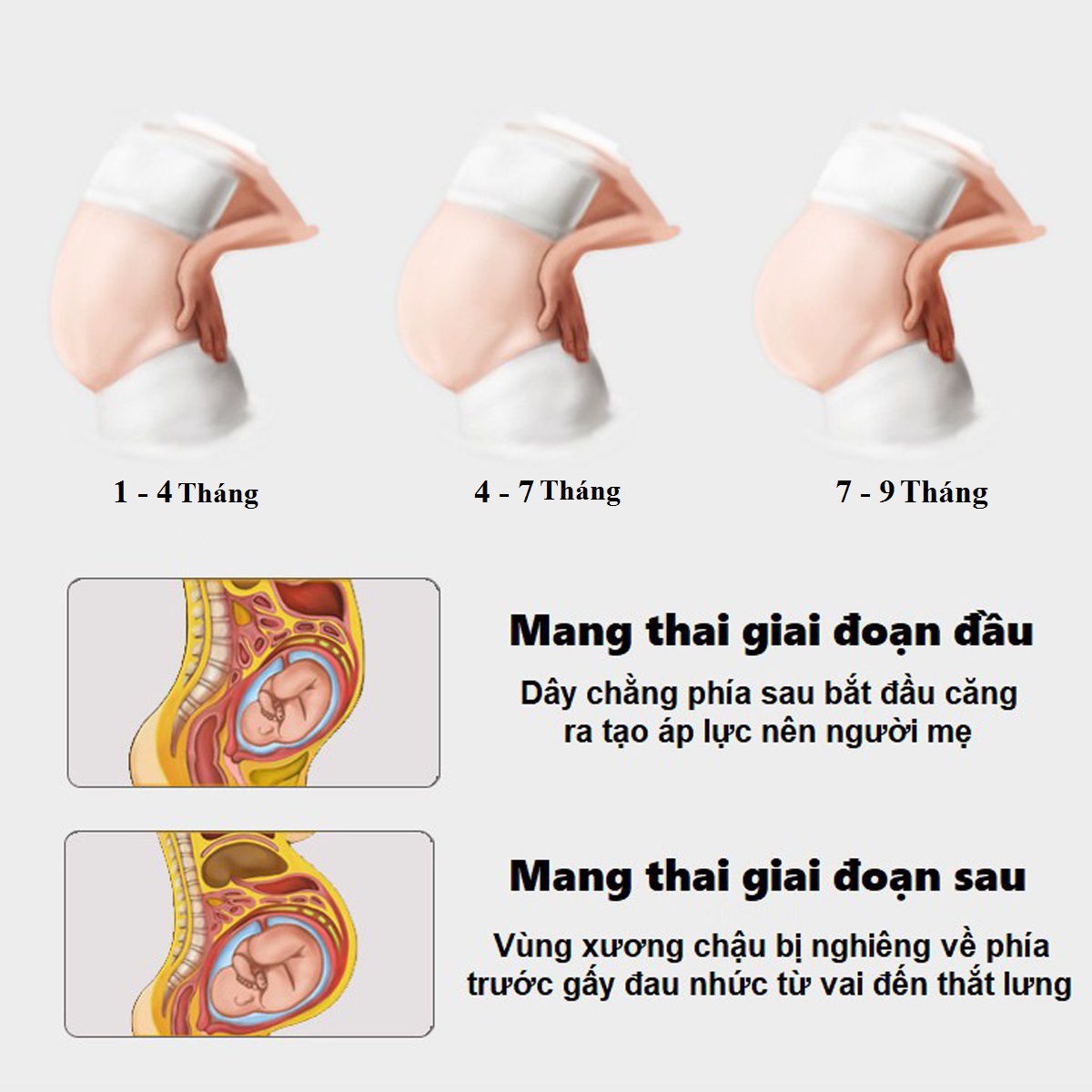 Bộ Đai Đỡ Bụng Bầu Cho Mẹ Bầu Cao Cấp - Chọn Cỡ - Sử Dụng Làm Đai Nịt Bụng Bầu Sau Sinh Size L (Bụng 80-115cm) từ 45 - 60kg; XL ( Bụng 87-126cm) từ 55-70kg; 2XL (Bụng 95 – 135cm) từ 70-90kg Chính Hãng Dododios