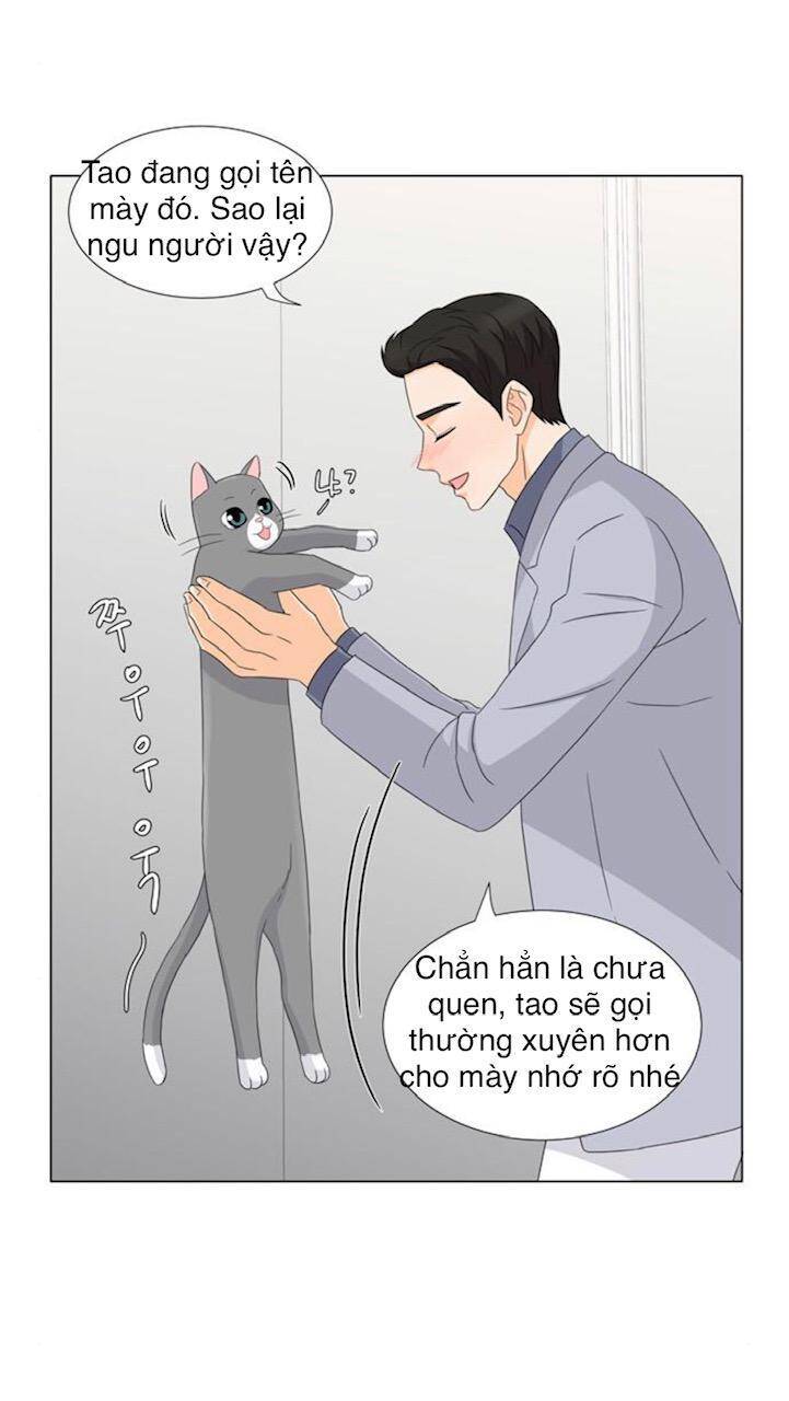 idol và sếp, em yêu ai? chapter 27 11