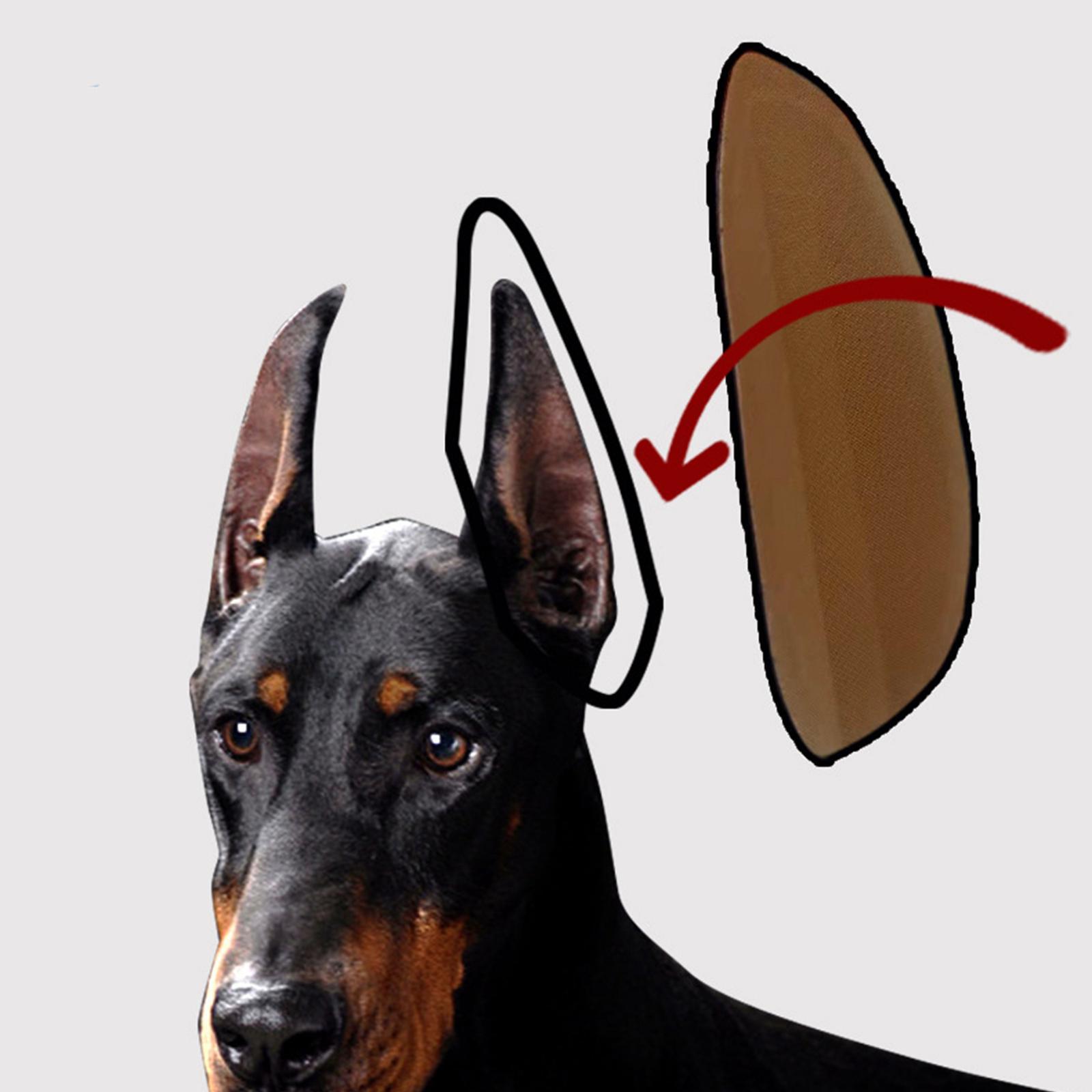 2xDog Ear Stand up Sticker Medium Large Dog Ear Corrector German Shepherd