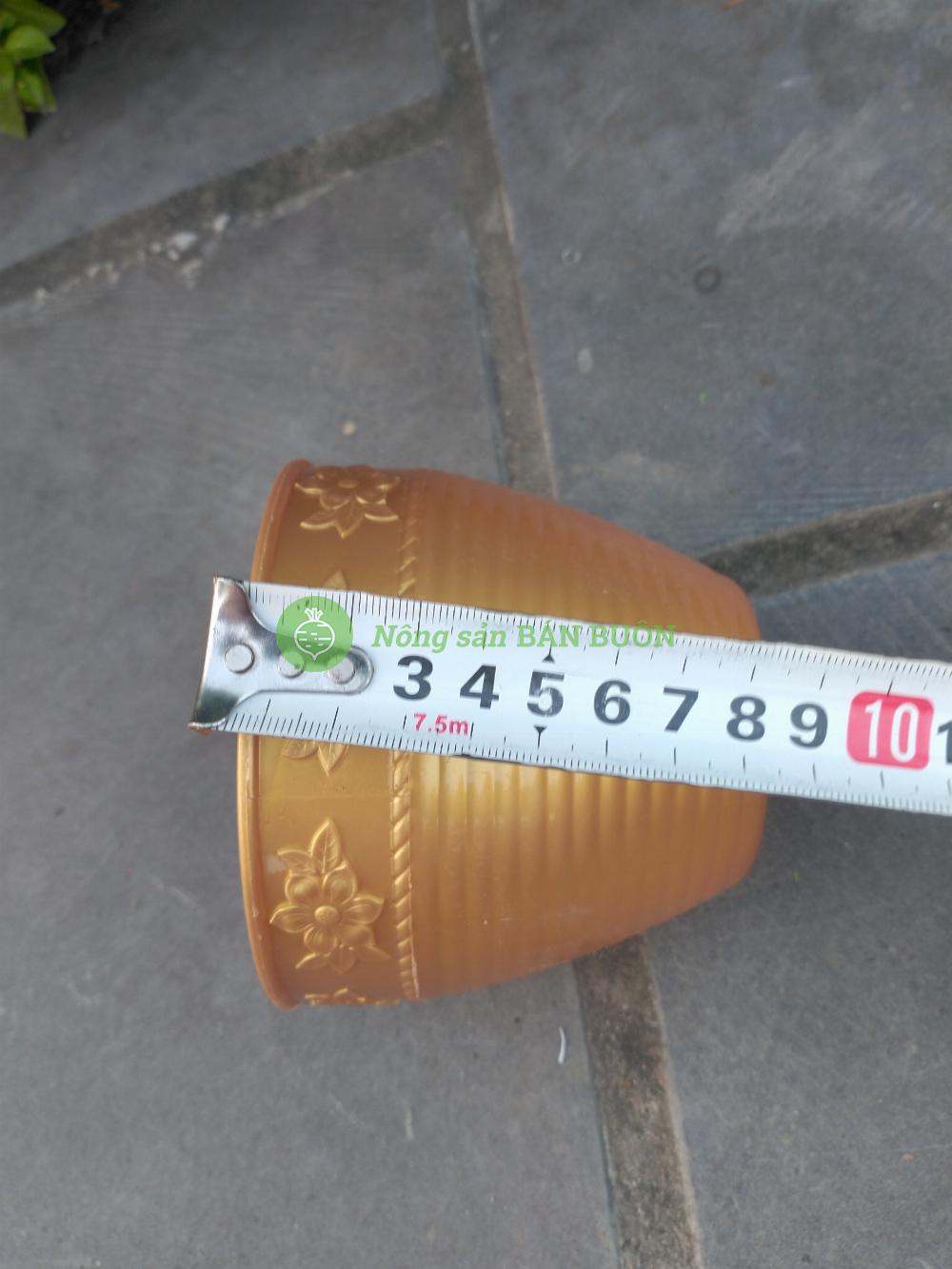 3 Chậu nhựa Hoa Mai Vàng 110x90, trồng cây mini,  xương rồng, cây để bàn, sen đá