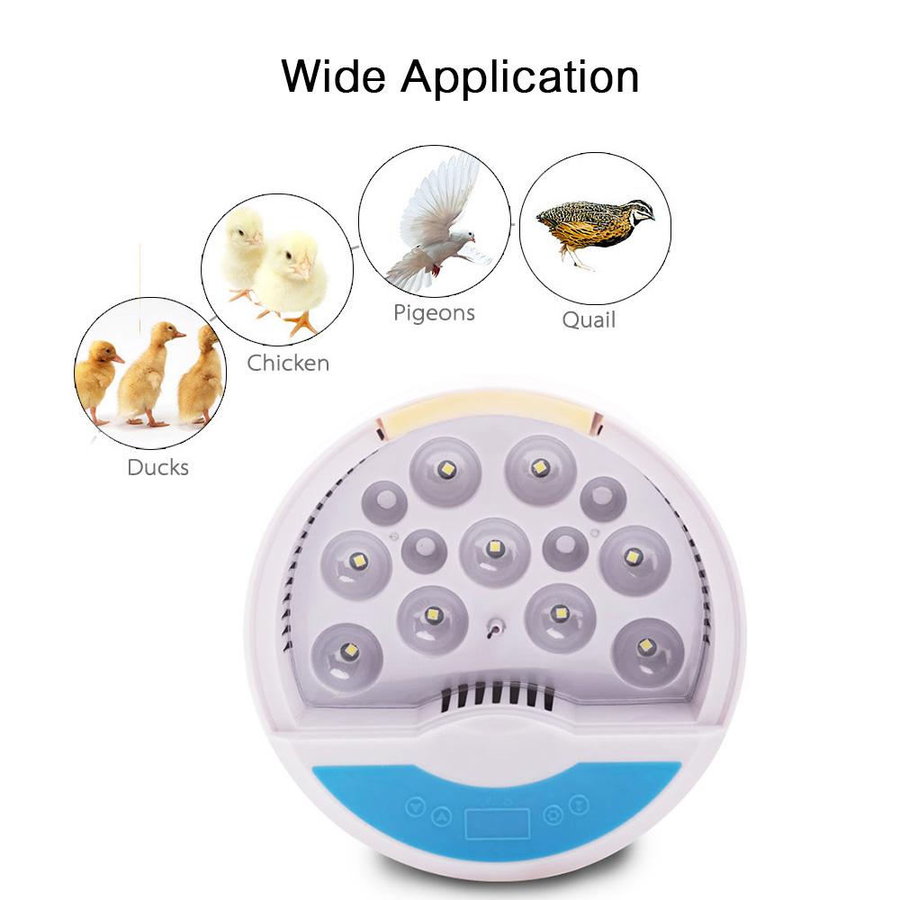 Máy ấp trứng kỹ thuật số đèn led Điều khiển nhiệt độ tự động bằng nhựa BBS,ấp được 9 quả