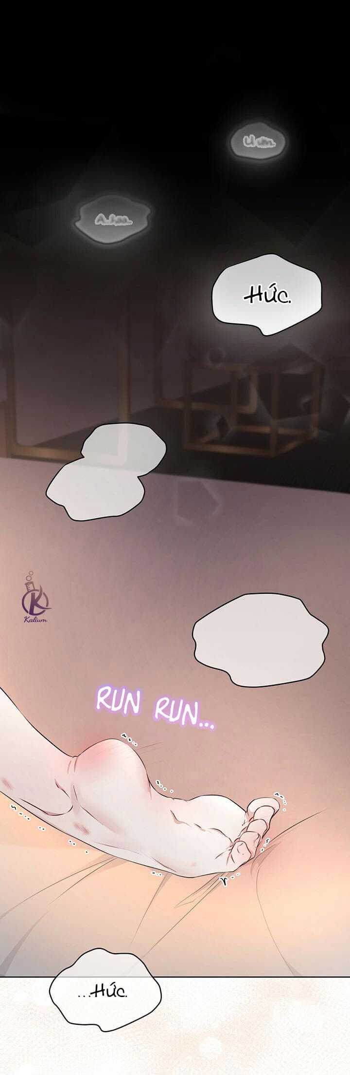 hình thái khởi sinh chapter 29 1