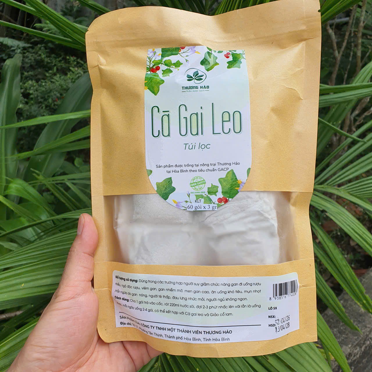 Túi 60 gói trà túi lọc Cà Gai Leo Hòa Bình-Tốt cho gan