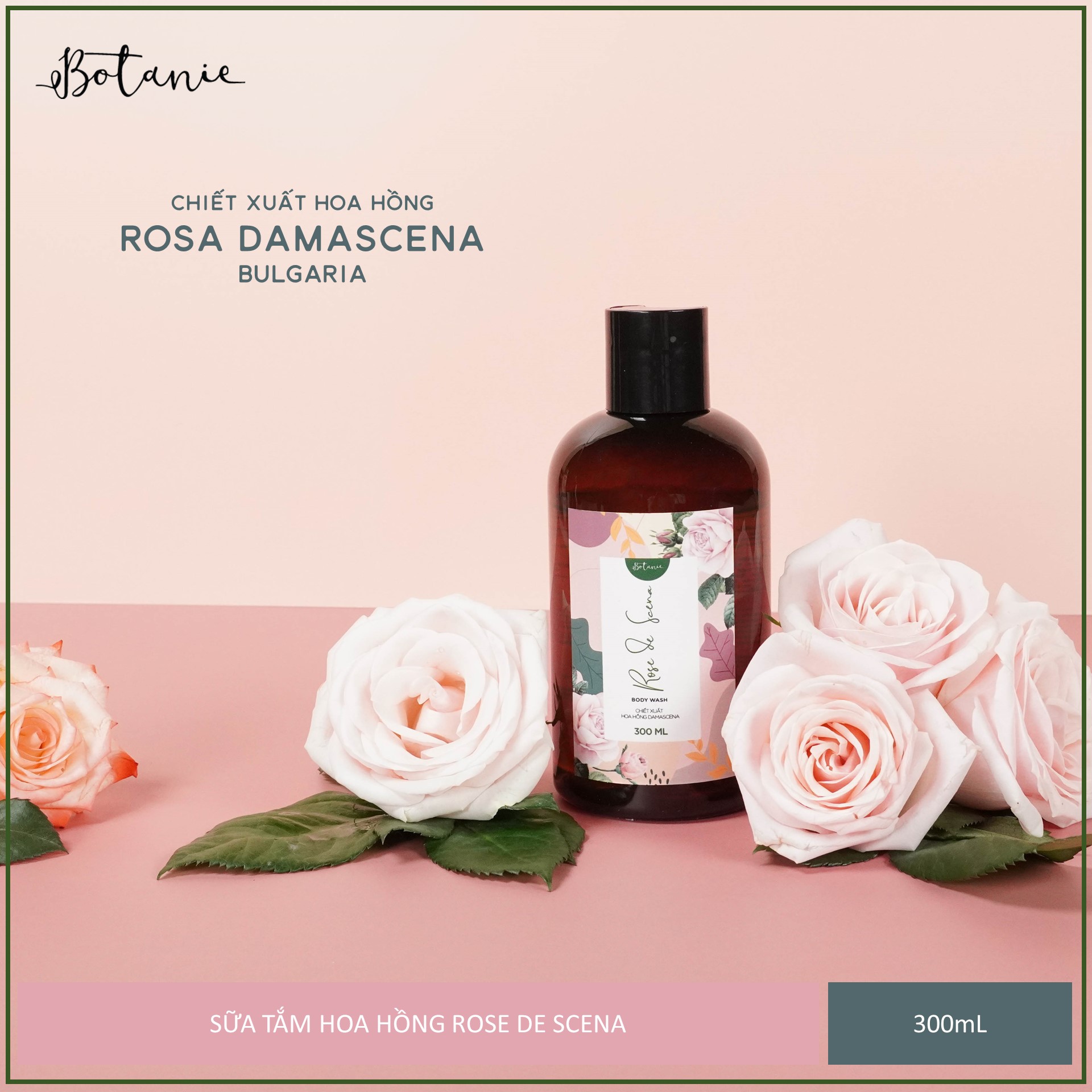 Sữa tắm cao cấp Rose de Scena 300ml - Hoa hồng Damascena - Bulgaria - Dịu nhẹ, dưỡng da mịn màng