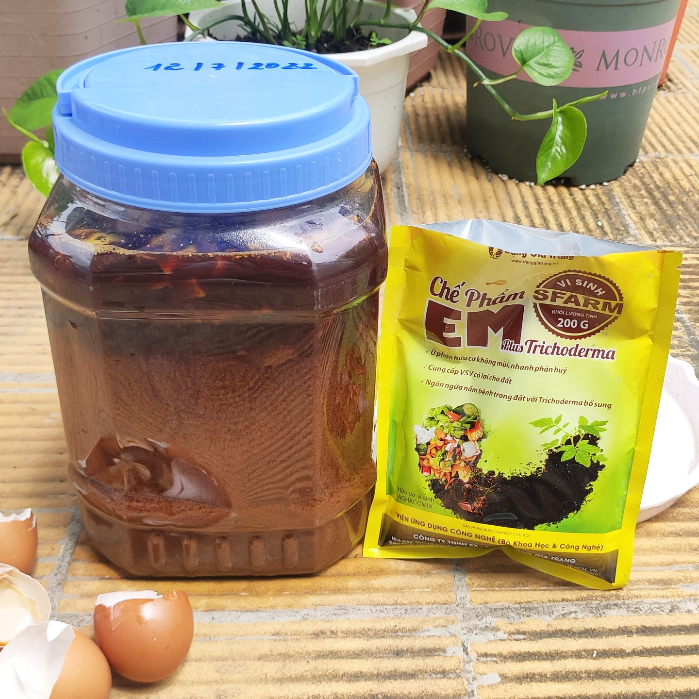 Combo 1 túi chế phẩm EM Sfarm 200gr và 2 chai mật rỉ đường Sfarm 1 lít