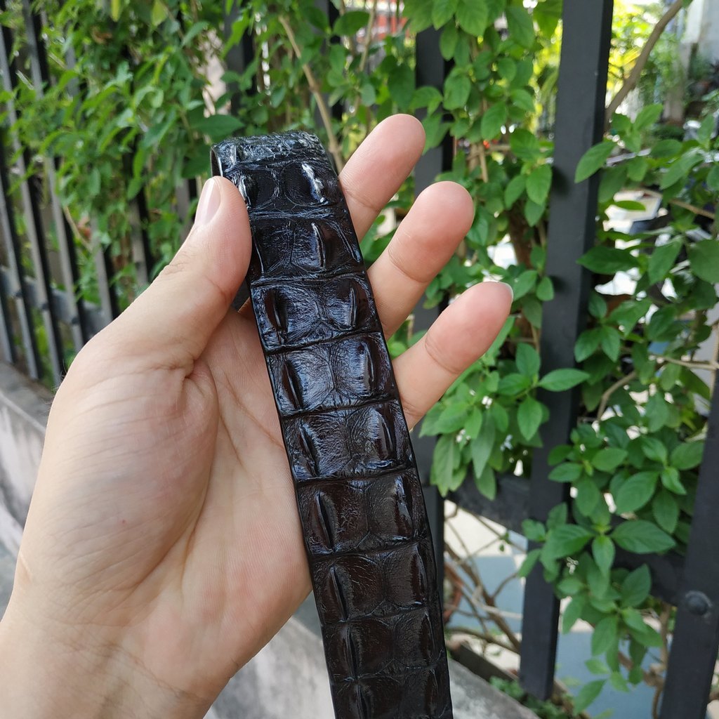 Dây Nịt Da Cá Sấu  Da Lưng Cá Sấu Có Gù, Gai Và Vây Rất Đẹp