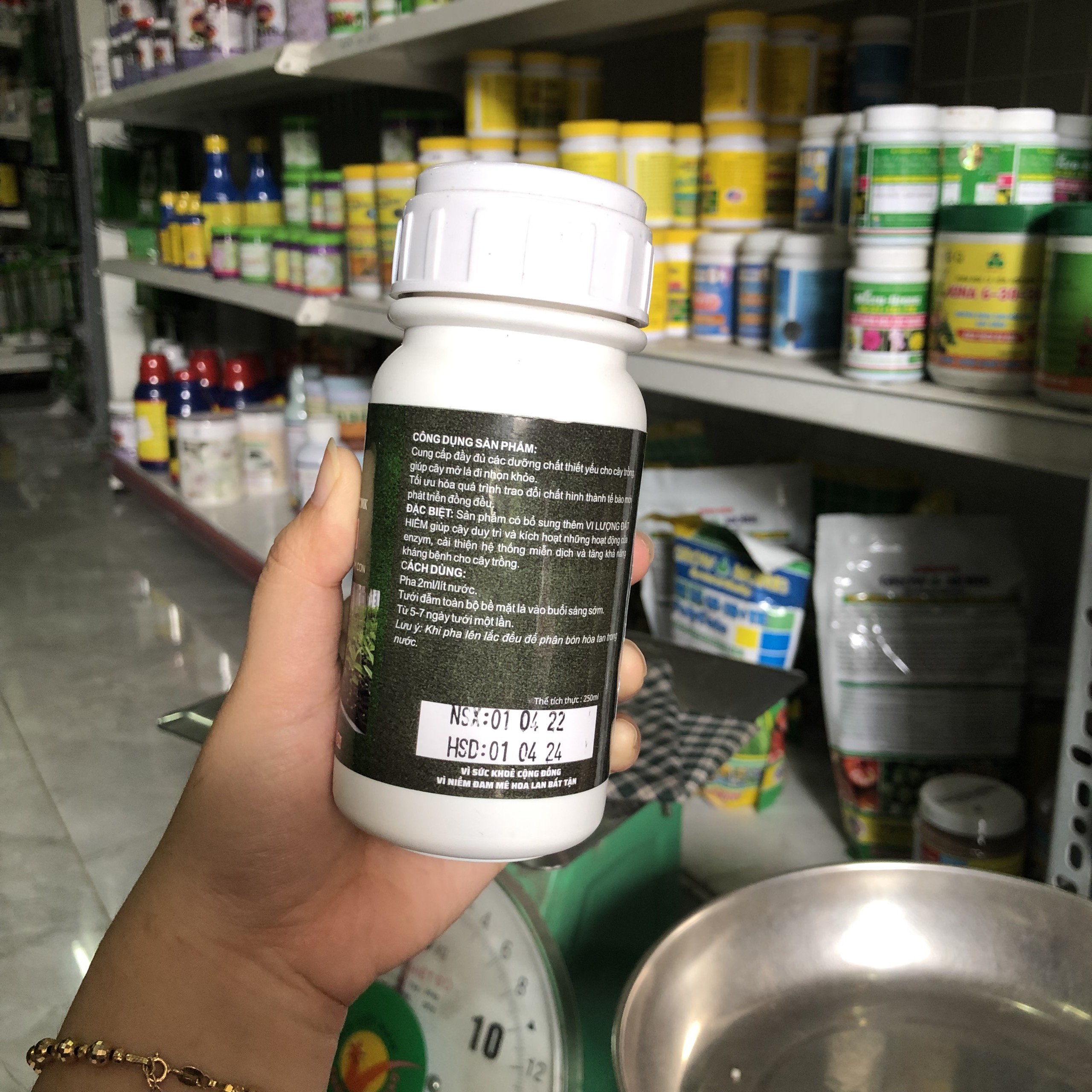 CHẾ PHẨM SINH HỌC MK-01 GIAI ĐOẠN CÂY CON, CÂY LÁ SỌC, VAR