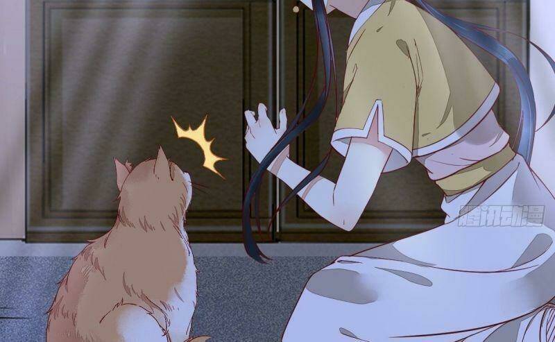 sát thủ vương phi không dễ chọc chapter 37 57