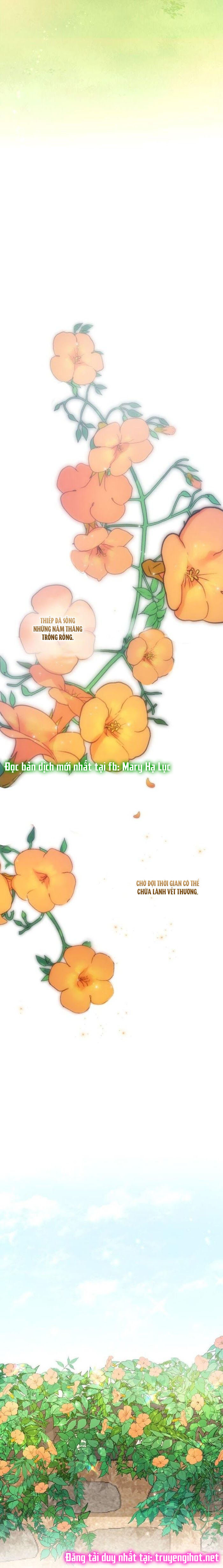 đăng tiêu hoa chapter 26 14