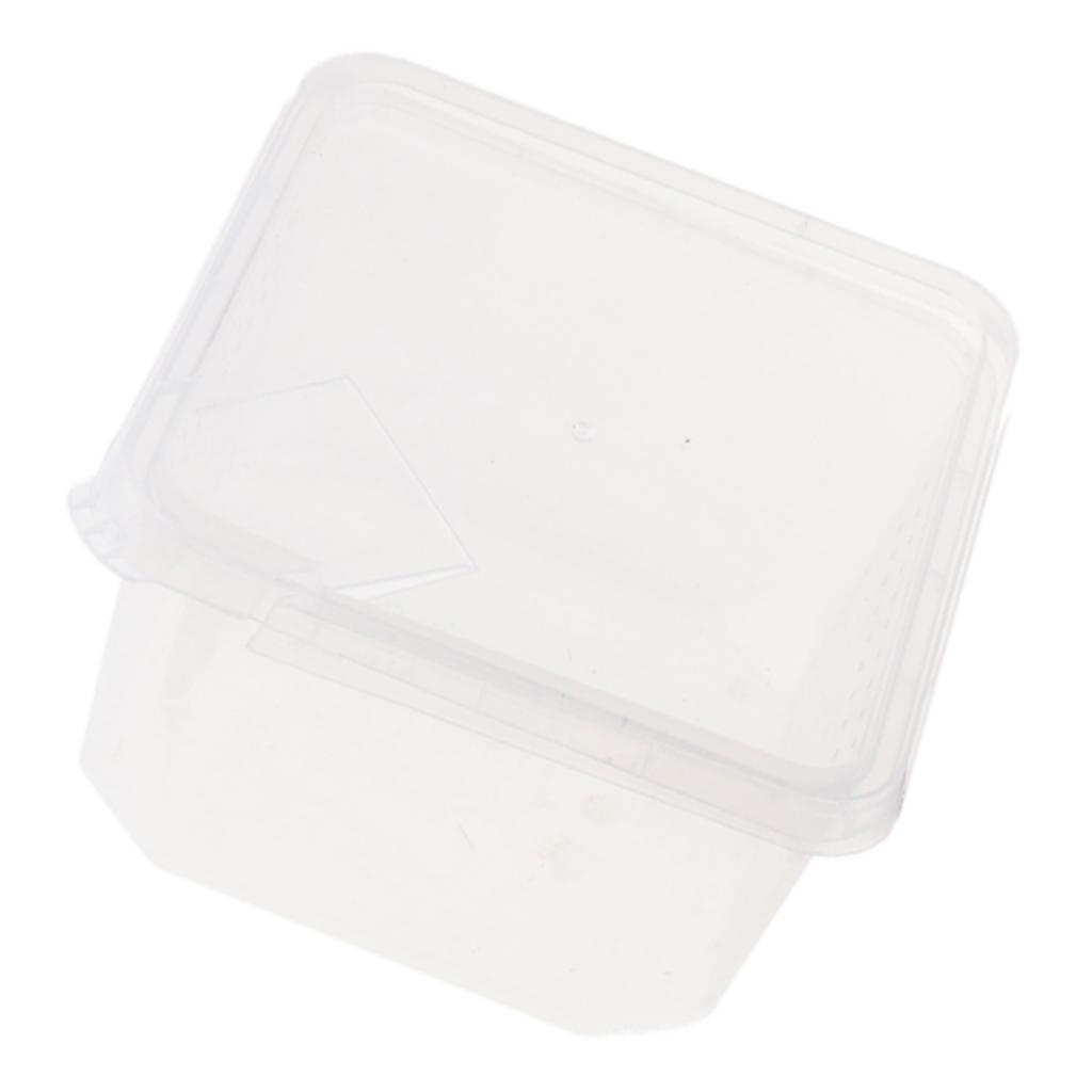 Plastic Insect Spider Habitat Feeding Box Cage Container REUSABLE 12x12x7cm