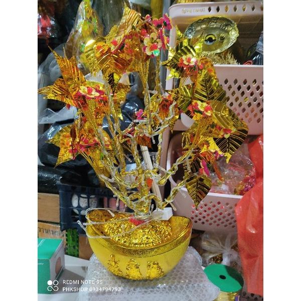 Cây bồ đề cành vàng lá ngọc ~60cm có đèn
