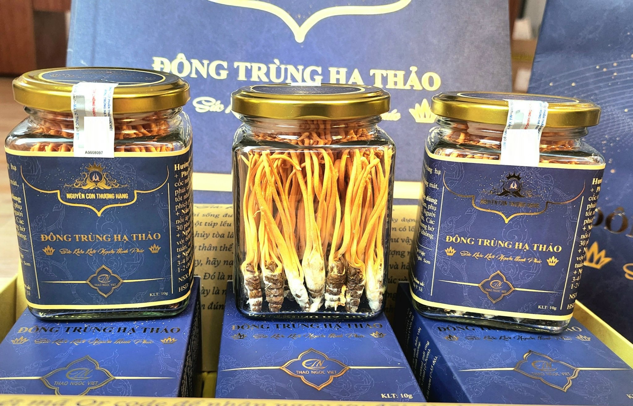 Đông trùng hạ thảo nguyên con thượng hạng Thảo Ngọc Việt - hộp 30g, dược chất cao, hiệu quả, an toàn, tiết kiệm