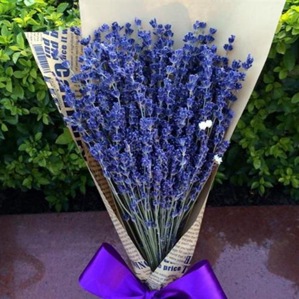 Bó Hoa Khô Lavender Tự Nhiên Nhập Khẩu Pháp - 300 Gram (330 Cành) - Mùi Thơm Từ Hoa Oải Hương Có Thể Làm Dịu Tinh Thần - Tránh Tình Trạng Mất Ngủ - Lo Lắng Quá Mức Và Shock Thần Kinh.