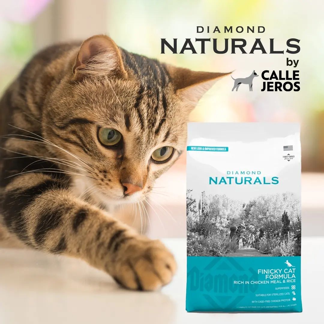 Thức Ăn Hạt Cao Cấp SUPERFOOD DIAMOND NATURALS _ Made in USA