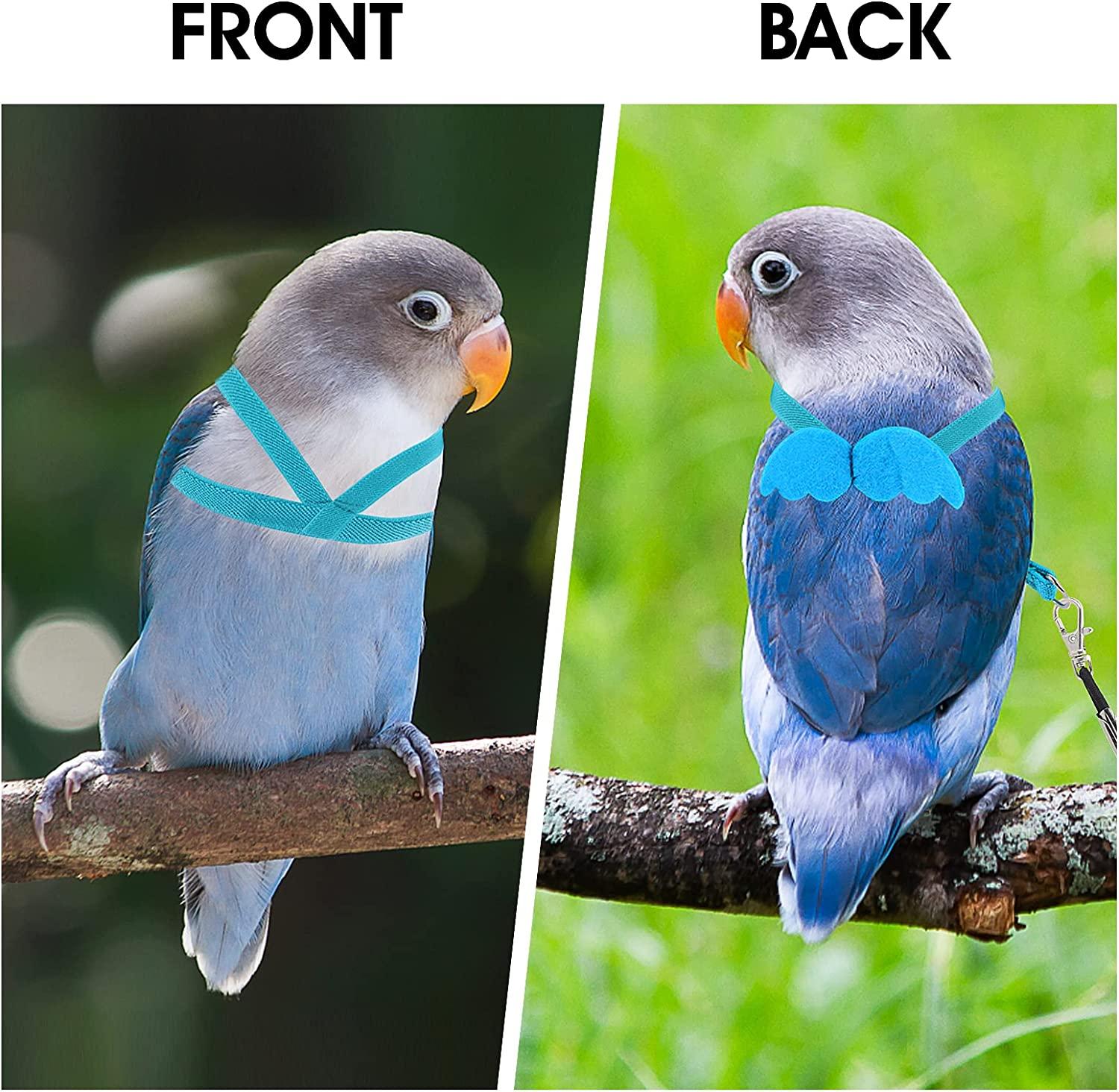 Có Thể Điều Chỉnh Vẹt Tập Bay Dây Cho Vẹt Dây Nylon Chim Dây Và Dây Xích Bộ Chim