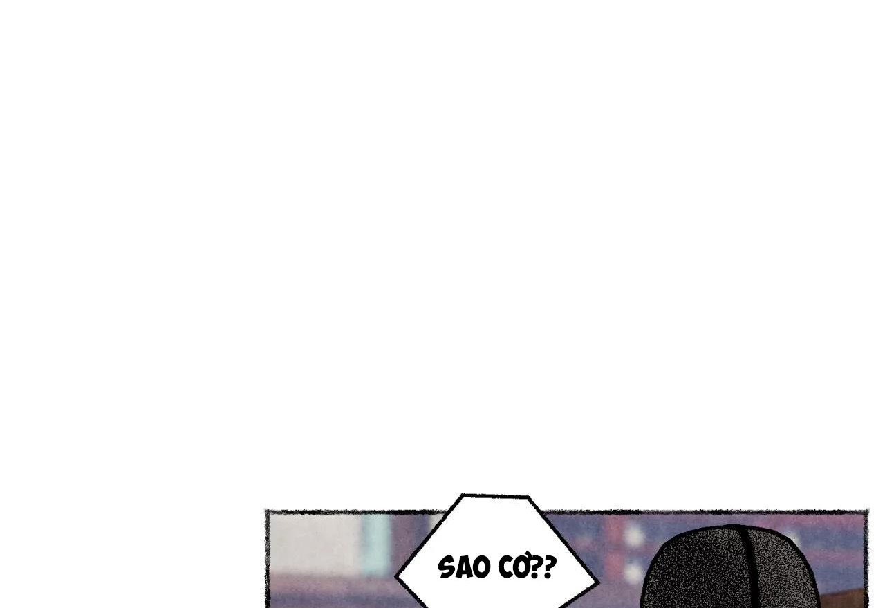 phò mã quan phu chapter 16 125