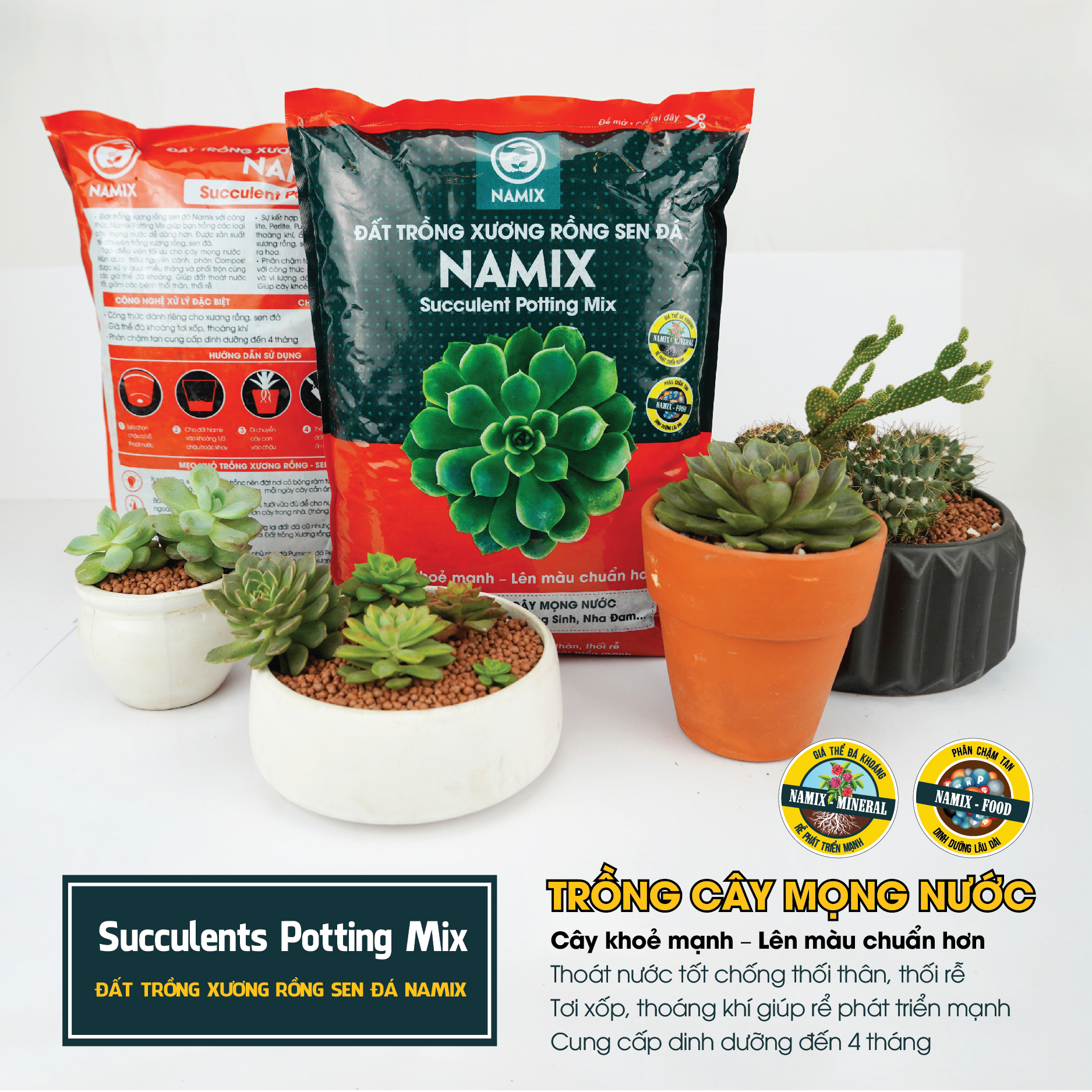 Đất trồng xương rồng sen đá Namix (Succulents Potting Mix)