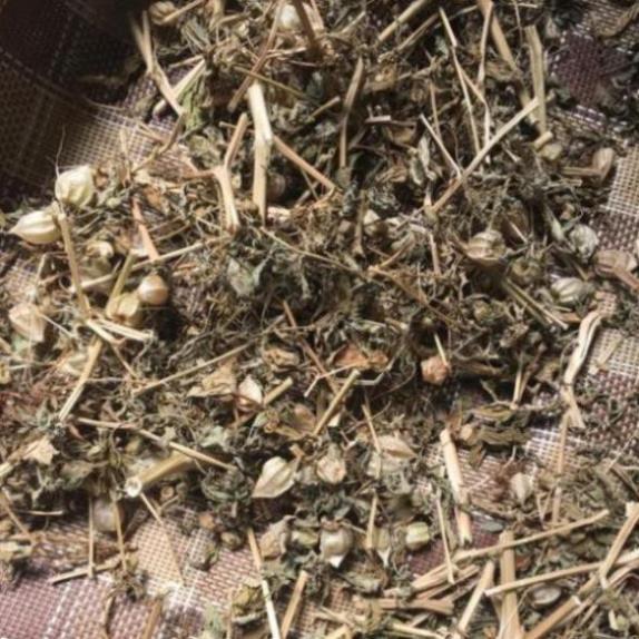 Cây thù lù khô 500g PV